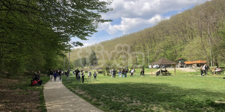 Festë e zbehtë në parkun e Gërmisë