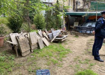 Inspekcioni bën lirimin e hapësirave publike në Parkun e Qytetit