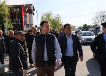 Peci viziton thertoren ilegale afër Tregut të Automjeteve, ka një kërkesë për kryetarët e komunave