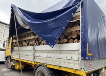 Policia ndalon një kamion që po barte dru nga Kosova në Serbi