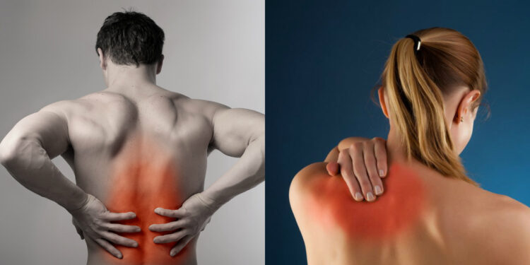 Dhimbje muskulore, depresion, lodhje – disa nga shenjat e mungesës së vitaminës B