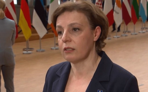 Gërvalla: Suedia po bisedon me anëtarët për aplikimin tone në BE