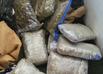 Operacioni “Guri”, policia konfiskon 12 kilogramë marihuanë e arreston gjashtë persona