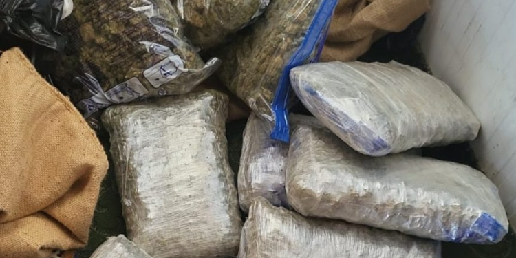 Operacioni “Guri”, policia konfiskon 12 kilogramë marihuanë e arreston gjashtë persona