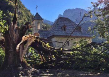 Rrëzohet nga pema në Theth, ndërron jetë 34-vjeçari