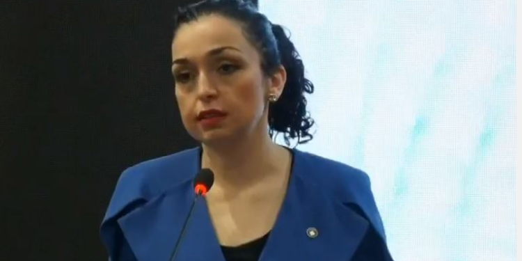 Osmani: Austria na ndihmoi në shtet-ndërtim, bashkëpunimi ekonomik bazë për miqësi afatgjate