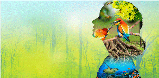 Dita Botërore e Biodiversitetit