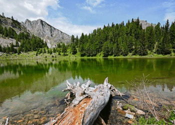 Parqet Kombëtare, vlerë e rrallë e trashëgimisë natyrore të Kosovës