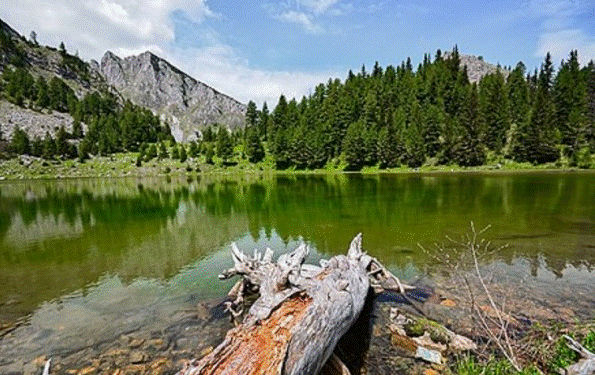 Parqet Kombëtare, vlerë e rrallë e trashëgimisë natyrore të Kosovës