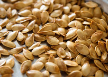 Këto janë përfitimet që marrni nga farat e kungullit