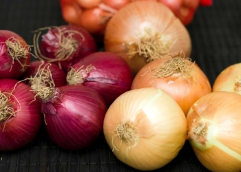 Cila qepë është më e mira për konsumim?