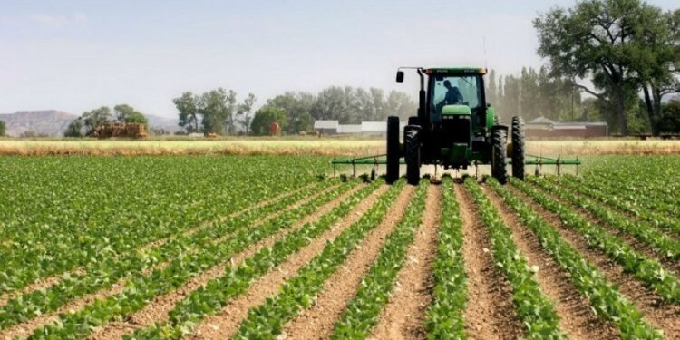 Mungesa e punëtorëve detyron bujqit t’i zvogëlojnë të mbjellat