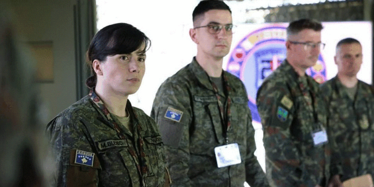 Mehaj: FSK-ja i bashkohet Task Forcës Jug në Republikën e Shqipërisë