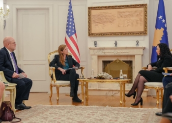 Hovenier: Në takim me Osmanin biseduam për përkrahjen e ShBA-së për Kosovën