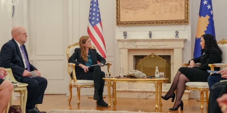 Hovenier: Në takim me Osmanin biseduam për përkrahjen e ShBA-së për Kosovën