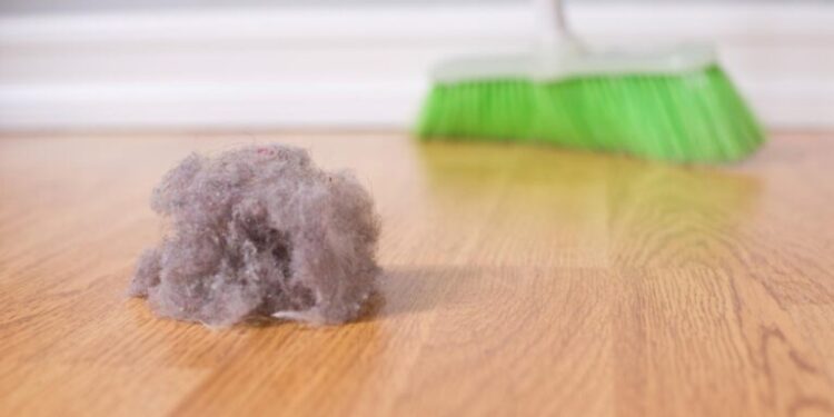 Këshilla se si të parandaloni grumbullimin e pluhurave në shtëpinë tuaj