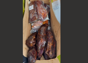 Parandalohen dy raste të kalimit të paligjshëm të kufirit dhe kontrabandës në Leposaviq