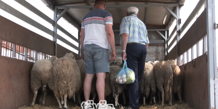 Çmimi i kurbanëve shkon deri në 300 euro