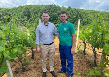 Peci: Rekord i të mbjellave këtë vit, falë përkrahjes financiare deri në 216%.