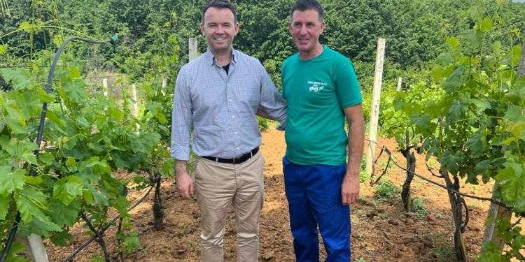 Peci: Rekord i të mbjellave këtë vit, falë përkrahjes financiare deri në 216%.