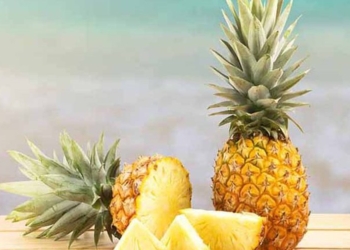 Ananasi është pema e vetme, e cila nuk përmban pesticide