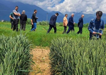 Demelezi: Bashkëpunimi me institucionet e Shqipërisë kyç për bujqësinë