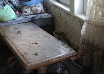 Vërshimet shkatërruan shtëpi dhe ekonomi familjare në fshatin Slivovë