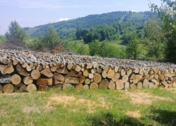 Konfiskohen dru në kufi me Serbinë, dyshohen për kontrabandim
