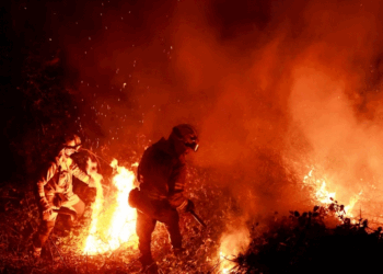 Si do të ndikojë fenomeni El Nino në motin e gjithë botës