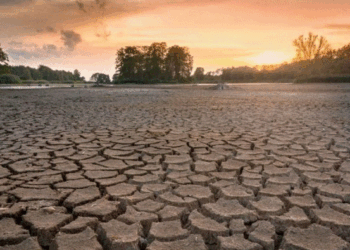 Dita Botërore kundër Shkretëzimit dhe Thatësirës