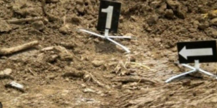 Aktakuzë ndaj një serbi, mori pjesë në vrasjen e 19 shqiptarëve gjatë luftës në Pejë