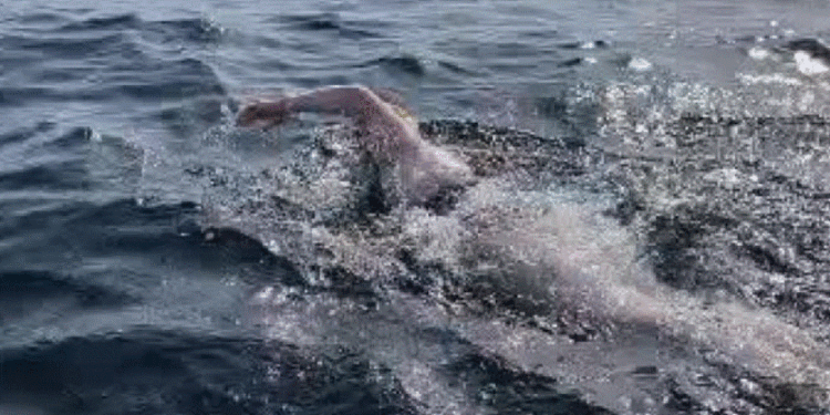 Buzo e ndërpret sfidën pas 26 orësh not të pandërprerë nga Italia për në Shqipëri