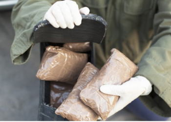 Europol: Çmontohet rrjeti shqiptar i trafikut të drogës, 35 të arrestuar