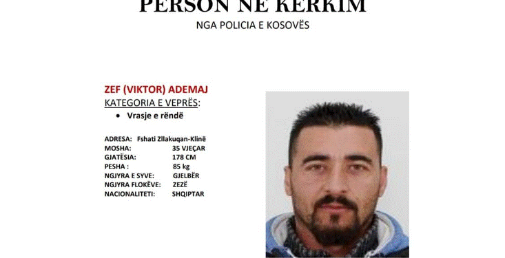 Policia kërkon ndihmë për gjetjen e personit në foto