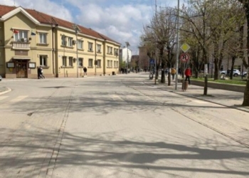 Drejtori i Arsimit në Podujevë reagon pas sulmit të nxënësve nga qeni