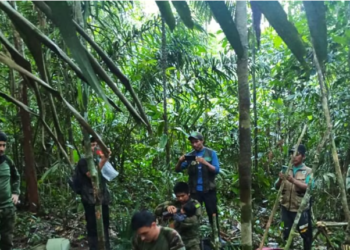 Një muaj pas rrëzimit të avionit, katër fëmijë u gjetën të gjallë në Kolumbi