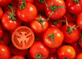 Dyshohet se kanë sasi të larta të hormoneve, AUV-i në pritje të rezultateve për domatet e importuara nga Shqipëria