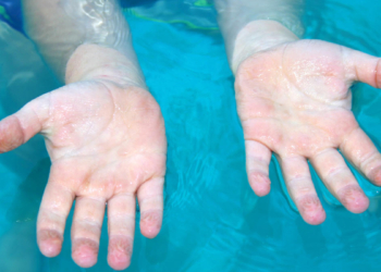 Pse rrudhen gishtat në ujë – Zbuloni disa mistere të jashtëzakonshme të trupit