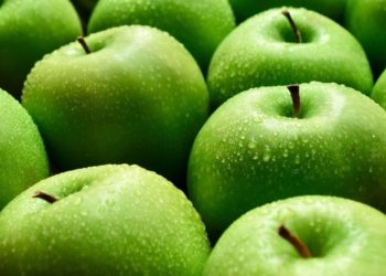 Mollët e gjelbra dhe pse duhen patjetër për organizmin