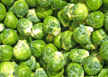 Cilat janë perimet që pengojnë sëmundjet e zemrës