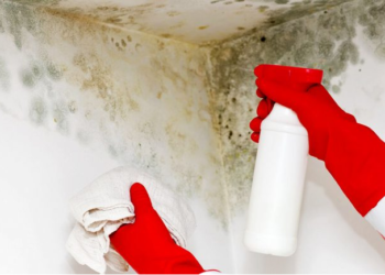 Si të eliminoni mykun në mënyrë natyrale në shtëpinë tuaj