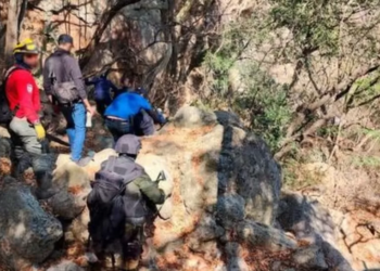 Policia meksikane gjenë 45 thasë me mbetje njerëzore