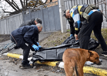 Ukraina regjistroi rreth njëqindmijë krime lufte ruse