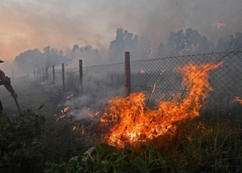 Të paktën 25 persona humbën jetën nga zjarret në Algjeri