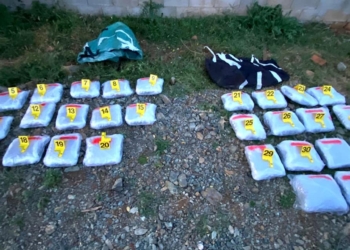 Konfiskohen mbi 35 kilogramë marihuanë në Gjakovë