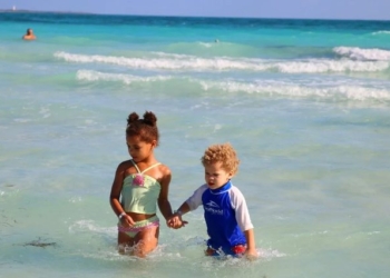 A janë ‘pleshtat’ e detit të rrezikshme për shëndetin?