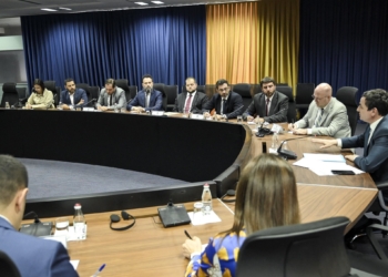 Hovenier: Tensionet në rritje ndikojnë negativisht në klimën e investimeve