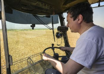 Kurti: Në qeverisje si në jetën e përditshme, ju korrni atë që mbillni