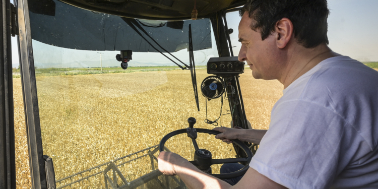 Kurti: Në qeverisje si në jetën e përditshme, ju korrni atë që mbillni