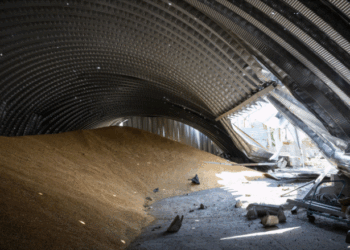 SHBA dhe aleatët kërkojnë zgjidhje për të shmangur krizën ushqimore pasi eksportet ukrainase janë bllokuar nga Rusia